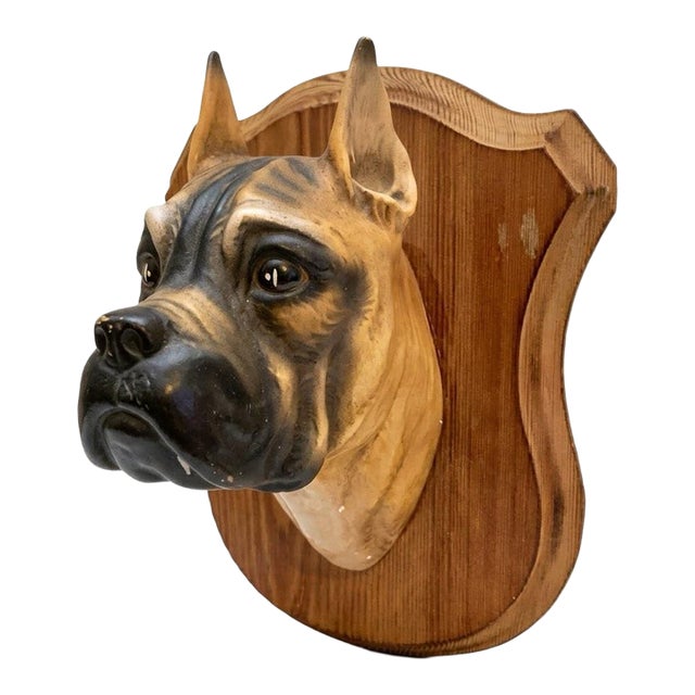 Vintage German Friedel "Panopticum Animale" Boxer Dog, Matte Ceramic Bust Wall Plaque For Sale
