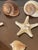9 PCS Vintage Coastal Sea Shell Place Cards Holders for Weddings, Parties For Sale - Image 4 of 6
