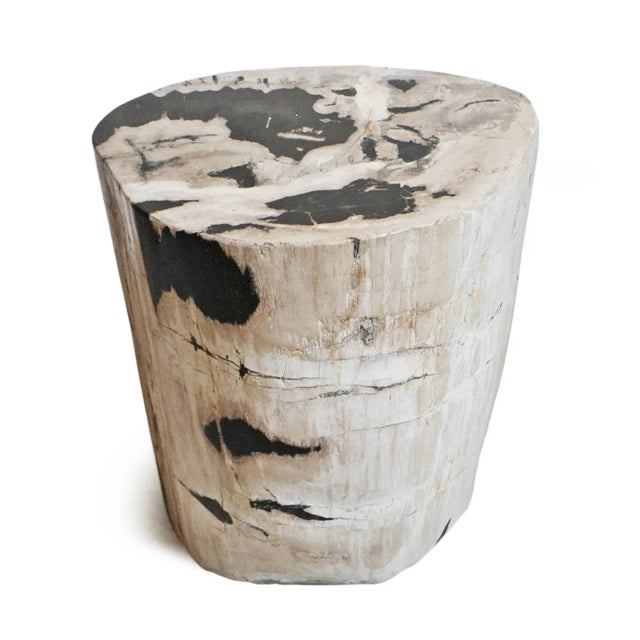 Petrified Wood Stump Side Table Chairish