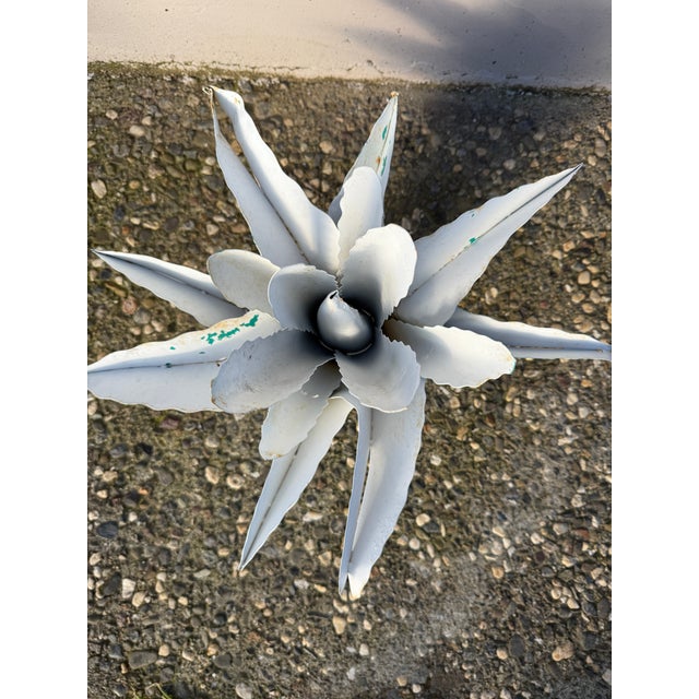 Medium Zinc Agave Plant For Sale - Image 4 of 5