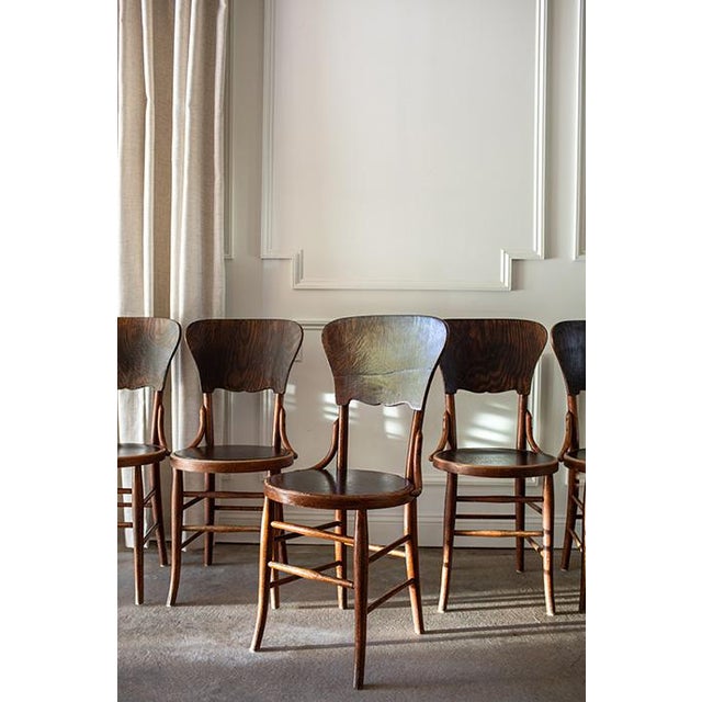 1920s Antique Bentwood Cafe Chairs in the Style of Micheal Thonet , Set of 6 For Sale - Image 5 of 16