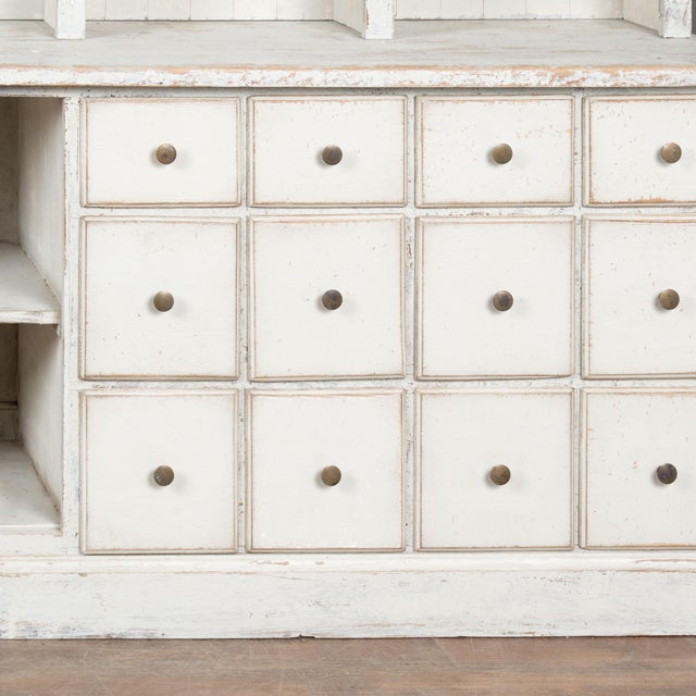 19th Century Large White Display Cabinet Bookcase Apothecary With 24 Drawers and Adjustable Shelves For Sale - Image 9 of 12