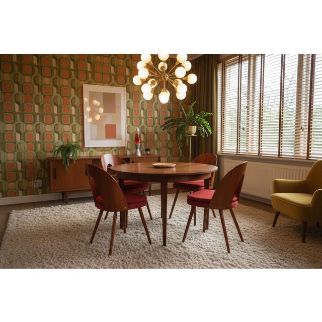 Mid-Century Walnut Chairs from Antonín Šuman, Czech, 1950s, Set of 4 For Sale - Image 4 of 18