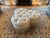 Beautiful Ethan Allen oversized tufted cocktail ottoman in a distinctive four-lobed clover/quatrefoil shape. Features deep...