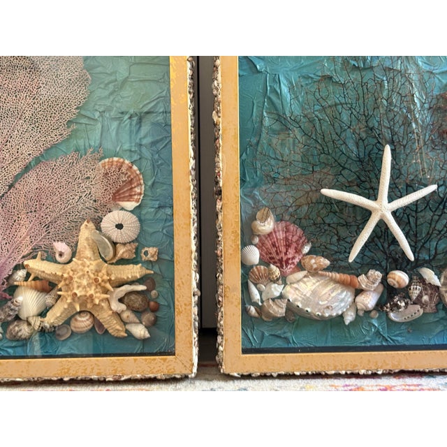 Vintage Seashell Collage Shadow Boxes -a Pair For Sale In Savannah - Image 6 of 12