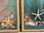 Vintage Seashell Collage Shadow Boxes -a Pair For Sale In Savannah - Image 6 of 12