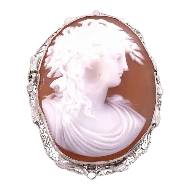 14 Karat White Gold Cameo Pendant or Brooch For Sale