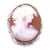 14 Karat White Gold Cameo Pendant or Brooch For Sale