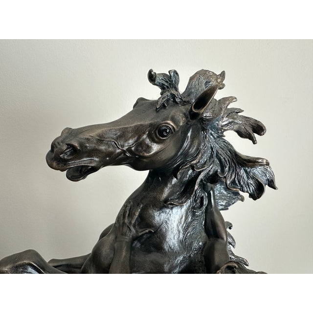1990s Vintage 1992 Florence Giuseppe Armani Marley Horse "Freedom" Sculpture in Bronze For Sale - Image 5 of 9