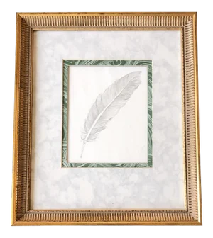 Original Vintage Pencil Drawing of a Feather 1970’s