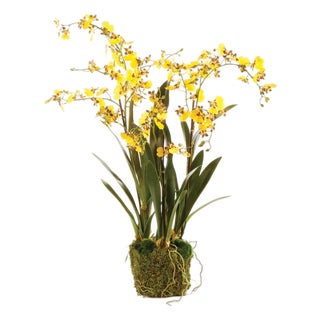 Dancing Orchid Drop-In 32" For Sale