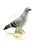Cortendorf Ceramic Figurine – Naturalistic Dove (Mid-Century, circa 1950s/1960s) For sale is a beautifully crafted,...