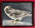 American Mid-Century portrait of a bird - abstract oil painting on board of a seagull. Exhibits a wonderful technique of...