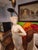 Pair of Mid 20th Century Female Figural Marble/Alabaster Carved Table Lamps For Sale In New York - Image 6 of 8