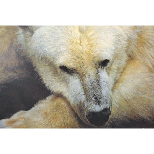 Carl Brenders "Top of the World - Polar Bear" Signed Limited Edition Lithograph, 1995 For Sale - Image 4 of 11