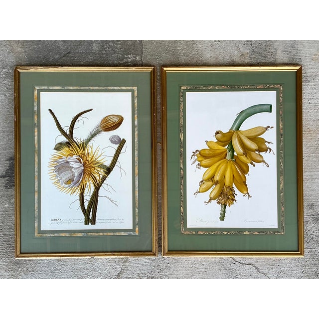 This distinguished pair of large-scale botanical prints celebrates the scientific precision and artistic mastery of Georg...