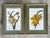 This distinguished pair of large-scale botanical prints celebrates the scientific precision and artistic mastery of Georg...