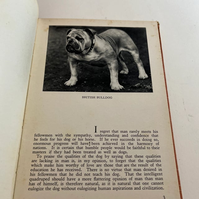 Mid-Century Modern 1950s the Dog in Nature, History and Art Book For Sale - Image 3 of 12