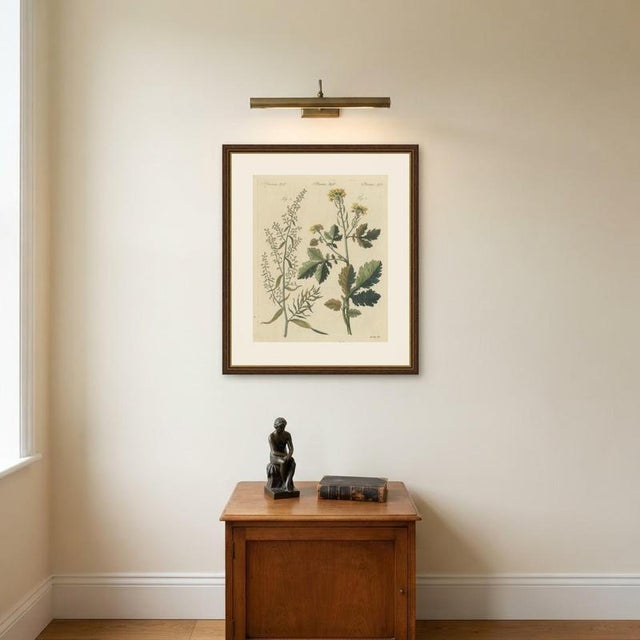 Bertuch, Yellow Crucifer and Slender Flowering Herb, 1805, Print For Sale - Image 10 of 12