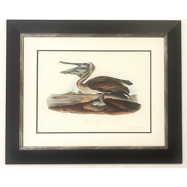 Late 20th Century Framed Audubon Bird Prints - A Pair For Sale - Image 11 of 15