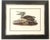 Late 20th Century Framed Audubon Bird Prints - A Pair For Sale - Image 11 of 15
