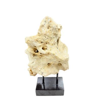 Tribal Indonesian Coral Stone On Teak Stand For Sale - Image 3 of 5