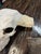 Late 20th Century Water Buffalo Skull, Thailand For Sale - Image 10 of 11
