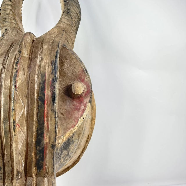 Early 20th Century Senufo Firespitter Mask Côte d'Ivoir For Sale - Image 9 of 9