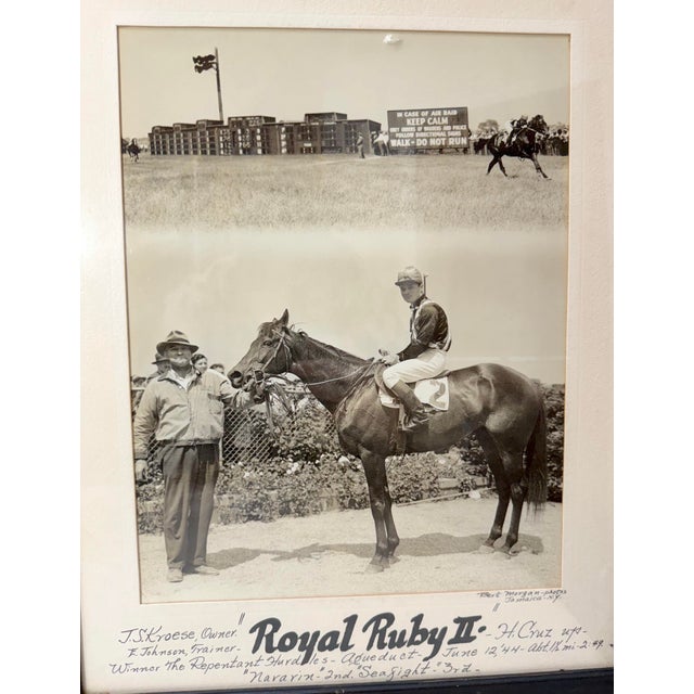 Up for sale is an original vintage 1944 horse racing photograph of winning horse Royal Ruby II at Jamaica, NY. This...