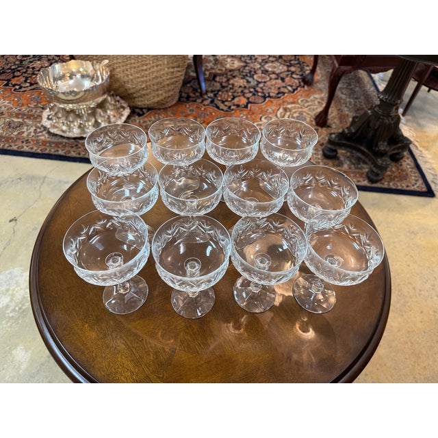 Vintage Champagne/Tall Sherbet Antoinette by Schott-Zwiesel Set of 12 For Sale In Birmingham - Image 6 of 17