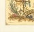Atelier Aria Lumae Jean Pillement Anne Allen Chinoiserie Antique Restored Gallery Board Print 16 X 24on Archival Hahnemuhle German Etching Paper For Sale - Image 4 of 15