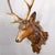 Large Naturalistic Black Forest Carved Stag Head, Ca. 1920s For Sale - Image 4 of 11