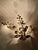 Hollywood Regency Wall Sconce by Hans Kögl, 1990s For Sale - Image 11 of 13