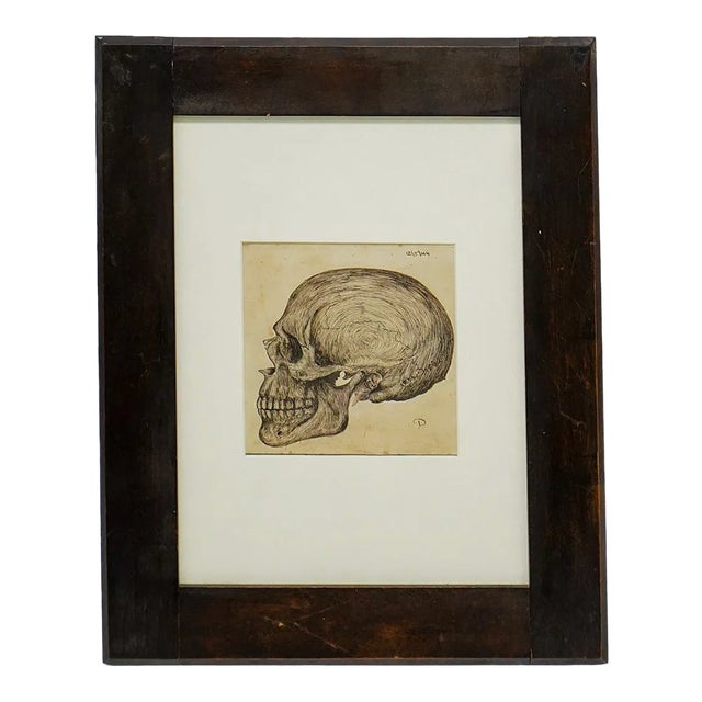 Anatomical Skull Ink Drawing, Circa 1844 Continental Initialed “D,” Framed For Sale