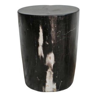 Petrified Wood Stump Side Table For Sale