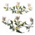 Vintage Italian Tole Lemon Tree Candelabra Signed Made in Italy For Sale