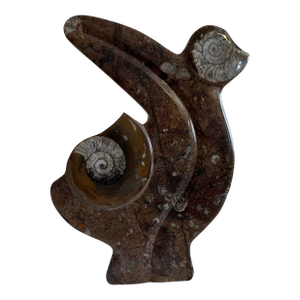 Late 20th Century Authentic Fossilized Ammonite Sculpture
