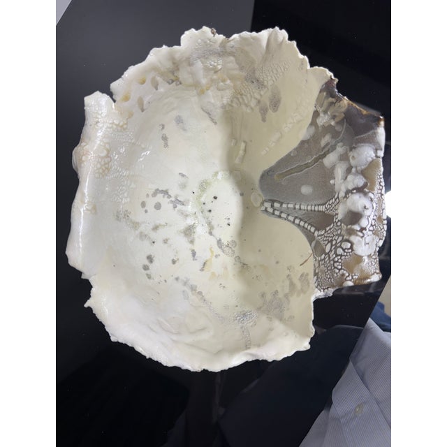 Early 21st Century Hand Made Pottery Bowl by Amanda Coldridge Ceramics For Sale - Image 5 of 14