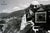 Apple Ansel Adams Poster For Sale - Image 6 of 6