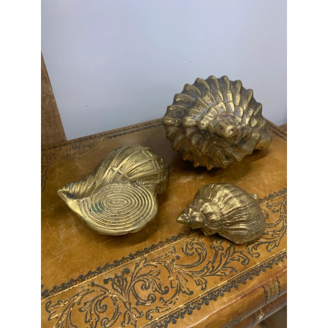 Vintage Set of 3 Brass Sea Shell Sculptures. Large: 8” x 6” x 3.75” Medium: 5” x 3.5” x 2.25” Small: 4” x 2.5” x 2”