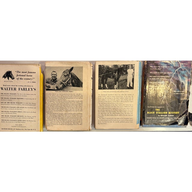 American 1950s Set of Four Rare First Edition Books From the Black Stallion Series by Walter Farley For Sale - Image 3 of 15