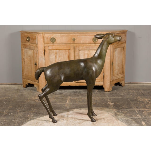 Continental 1930s Life Size Bronze Sculpture of a Deer Standing on its Four Legs For Sale - Image 4 of 12