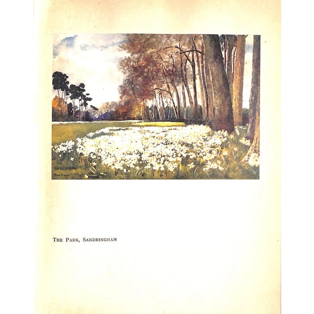 "Royal Palaces & Gardens" 1916 Nixon, Mima For Sale In New York - Image 6 of 12