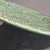 Mid-Century Modern Vintage Bordallo Pinheiro Majolica Strawberry Leaf Serving Platter For Sale - Image 3 of 6