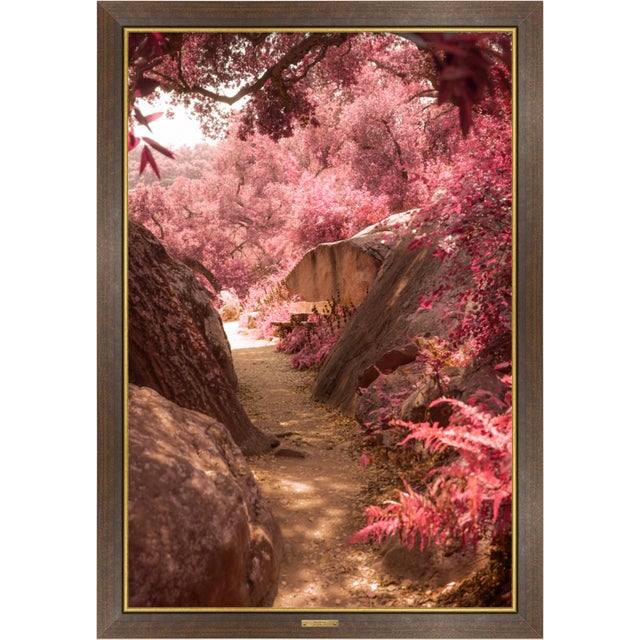 Hope Springs (2022) Edition: 1/1 Year: 2023 Medium: Archival pigmented fine art print framed in walnut with vintage brass...