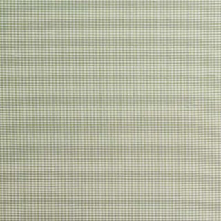 Sample - Schumacher Dalton Silk Gingham Fabric in Leaf For Sale