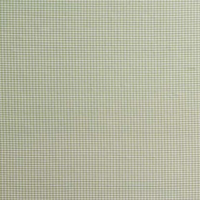 Sample - Schumacher Dalton Silk Gingham Fabric in Leaf For Sale