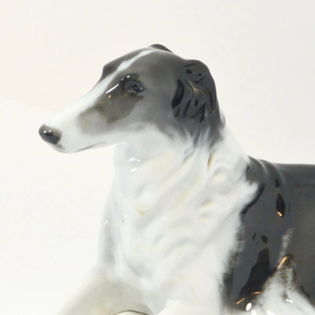 Figurative Vintage Rosenthal Bavaria Porcelain Borzoi Figurine by Fritz Heidenreich – Large Reclining Russian Wolfhound, C. 1940s For Sale - Image 3 of 9