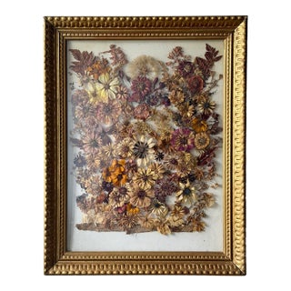 Vintage 1976 Pressed Dried Flower Art, Framed Botanical Collage, Gilt Frame For Sale
