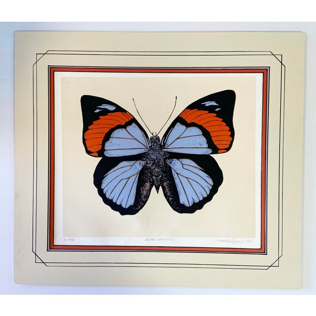 Vintage Original Butterfly Screen Print With Mat Chairish